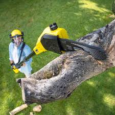 Best Aeration Services  in Johnstonville, CA