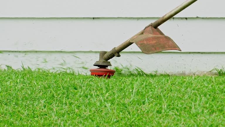 Lawn Drainage Solutions